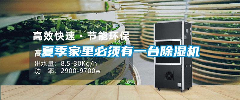 夏季家里必须有一台粉色视频免费在线观看