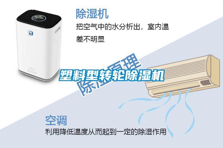 塑料型转轮粉色视频免费在线观看