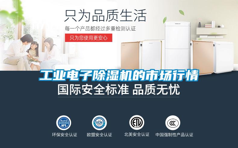 工业电子粉色视频免费在线观看的市场行情