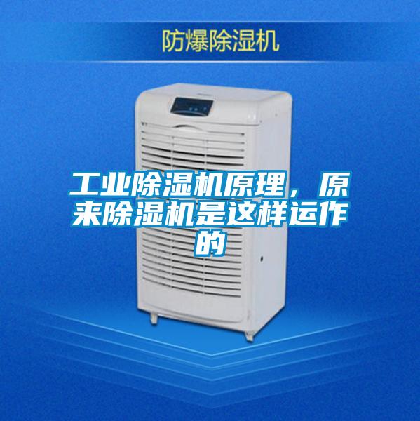 工业粉色视频免费在线观看原理，原来粉色视频免费在线观看是这样运作的