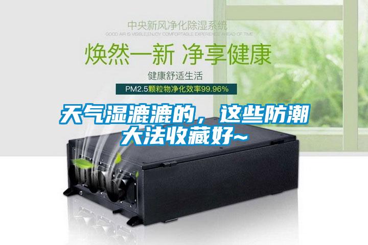 天气湿漉漉的，这些防潮大法收藏好~