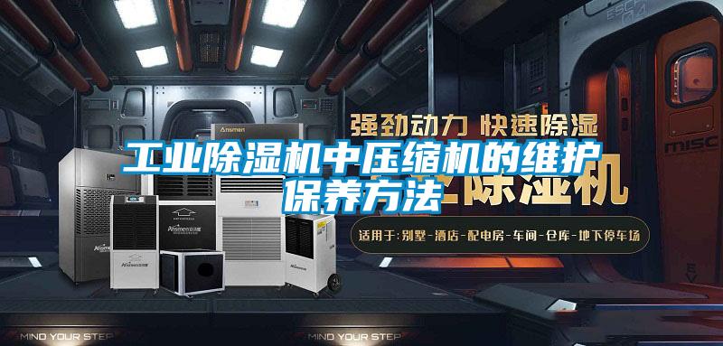 工业粉色视频免费在线观看中压缩机的维护保养方法