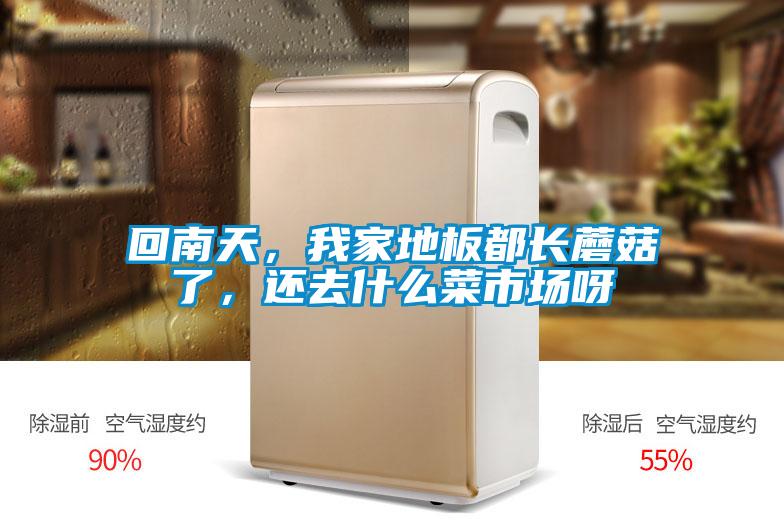 回南天，我家地板都长蘑菇了，还去什么菜市场呀