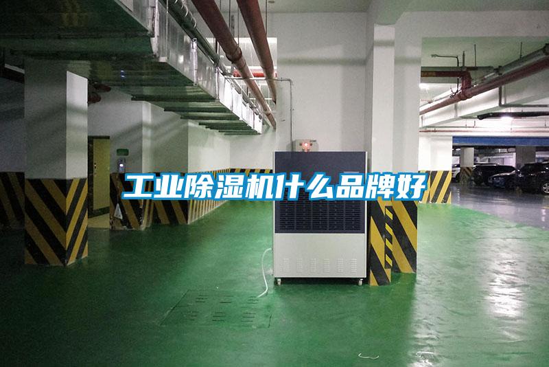 工业粉色视频免费在线观看什么品牌好