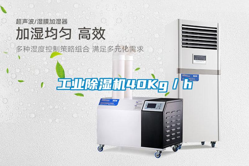 工业粉色视频免费在线观看40Kg／h