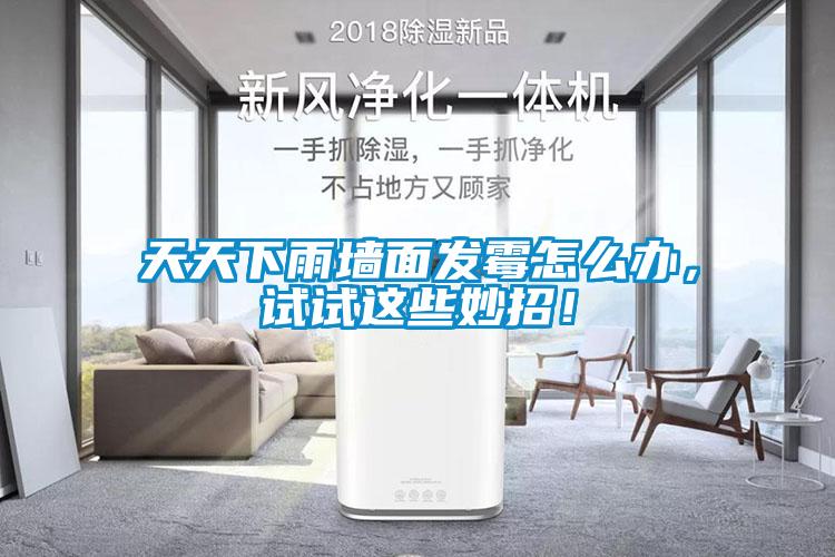 天天下雨墙面发霉怎么办，试试这些妙招！