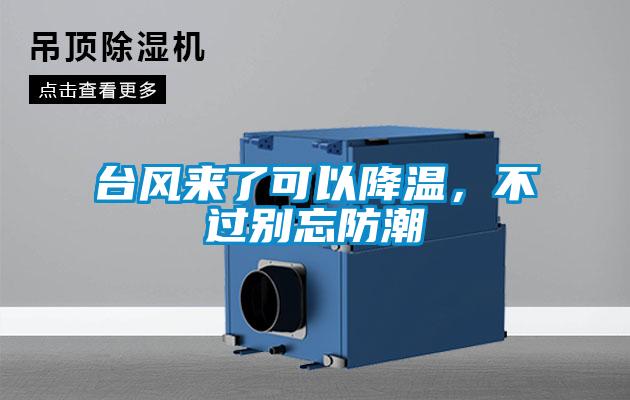 台风来了可以降温，不过别忘防潮