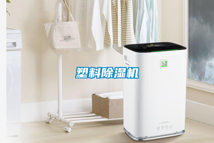 塑料粉色视频免费在线观看