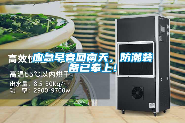 应急早春回南天，防潮装备已奉上！