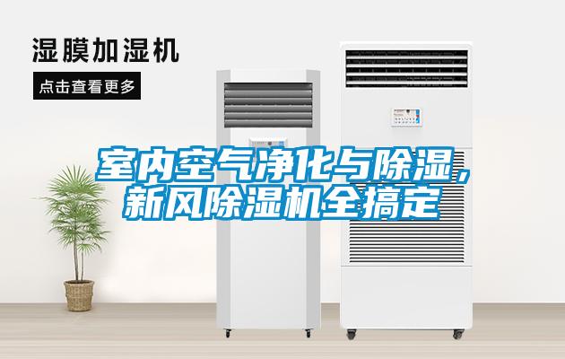 室内空气净化与除湿，新风粉色视频免费在线观看全搞定