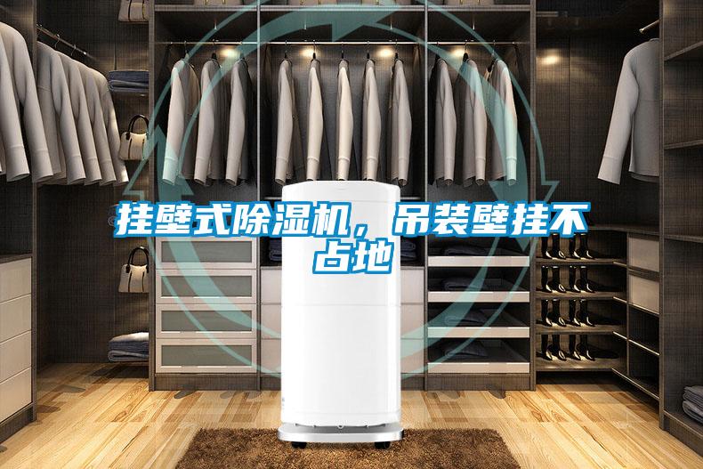 挂壁式粉色视频免费在线观看，吊装壁挂不占地