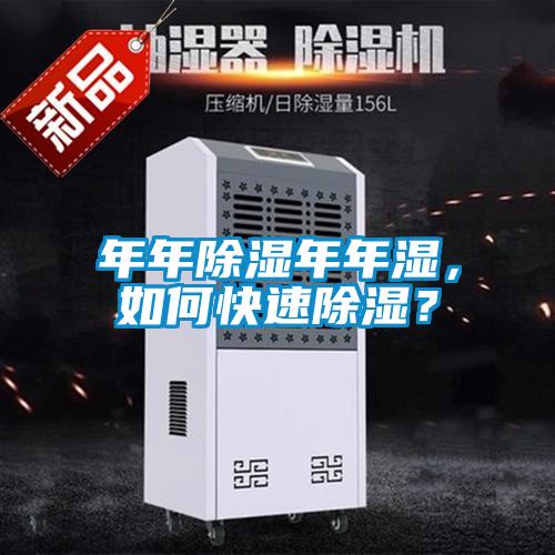 年年除湿年年湿，如何快速除湿？