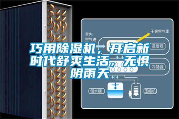 巧用粉色视频免费在线观看，开启新时代舒爽生活，无惧阴雨天