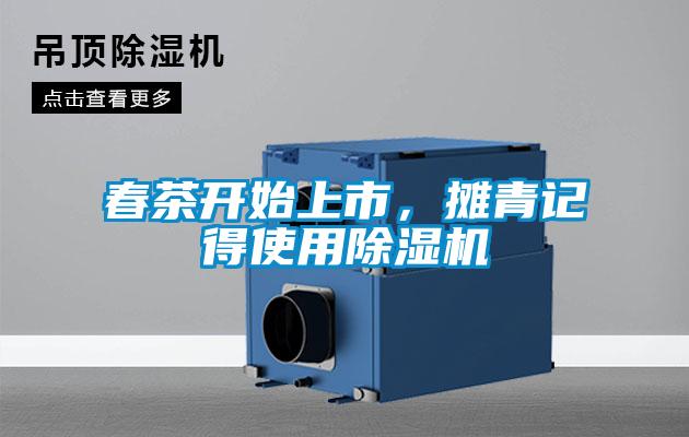 春茶开始上市，摊青记得使用粉色视频免费在线观看