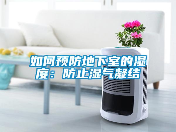 如何预防地下室的湿度：防止湿气凝结