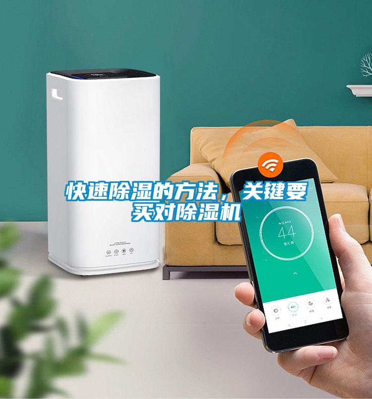快速除湿的方法，关键要买对粉色视频免费在线观看