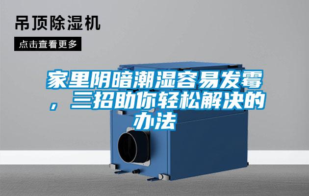 家里阴暗潮湿容易发霉，三招助你轻松解决的办法