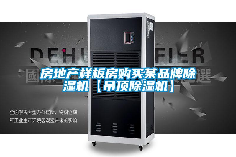 房地产样板房购买某品牌粉色视频免费在线观看【吊顶粉色视频免费在线观看】