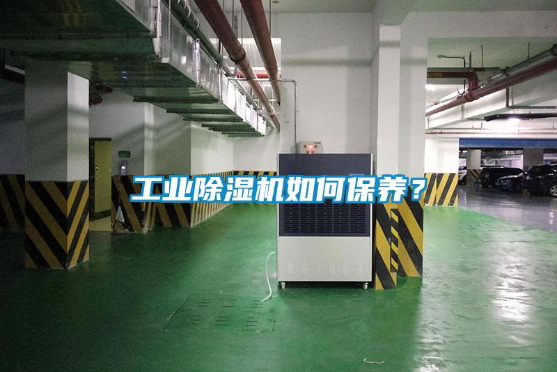 工业粉色视频免费在线观看如何保养？