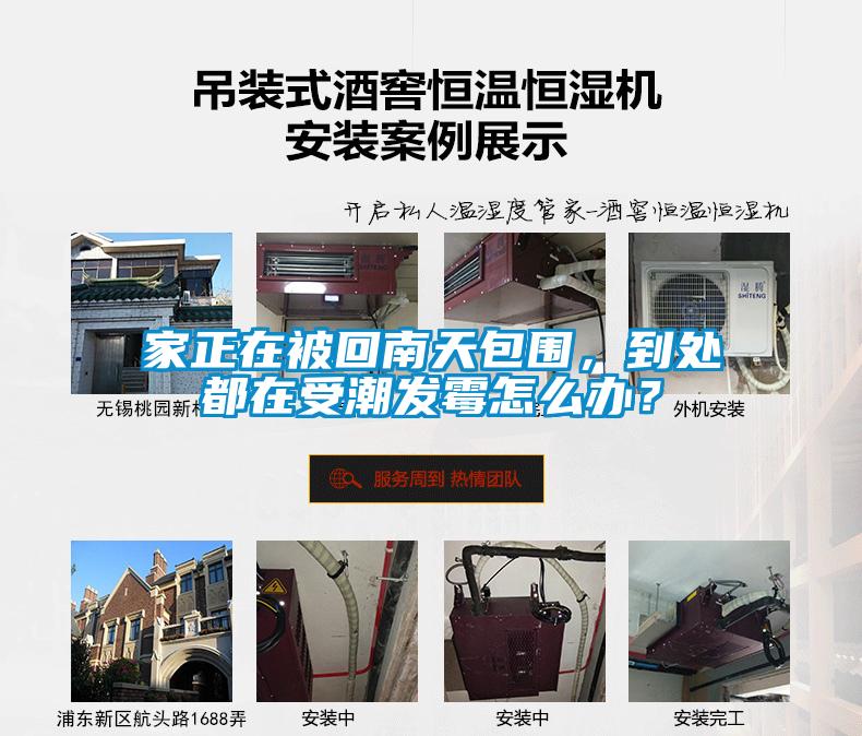 家正在被回南天包围，到处都在受潮发霉怎么办？