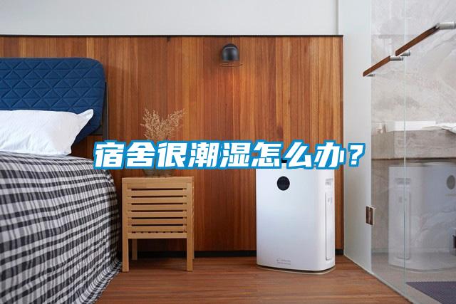 宿舍很潮湿怎么办？
