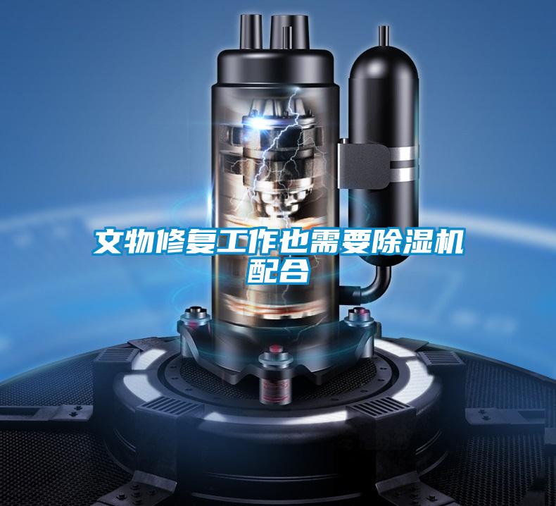 文物修复工作也需要粉色视频免费在线观看配合