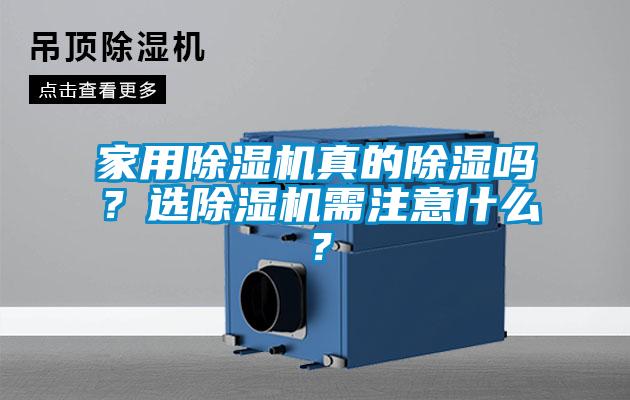 家用粉色视频免费在线观看真的除湿吗？选粉色视频免费在线观看需注意什么？