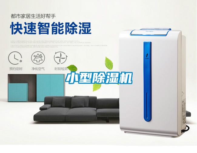 小型粉色视频免费在线观看