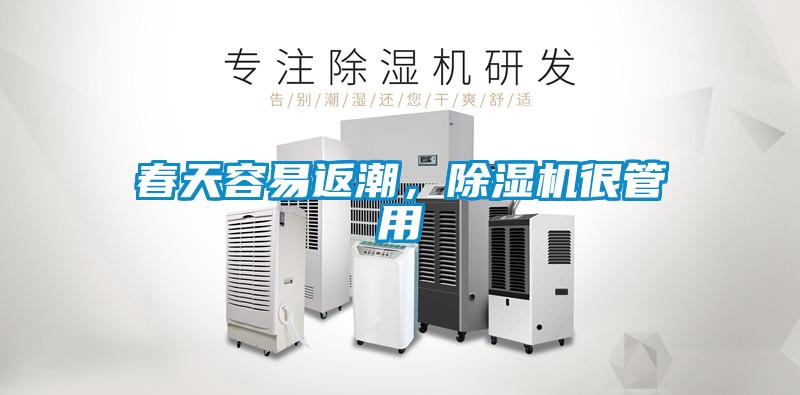 春天容易返潮，粉色视频免费在线观看很管用