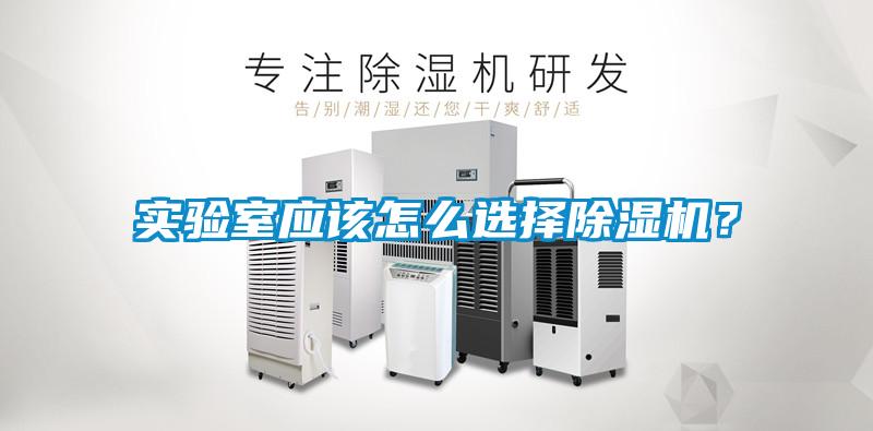 实验室应该怎么选择粉色视频免费在线观看？