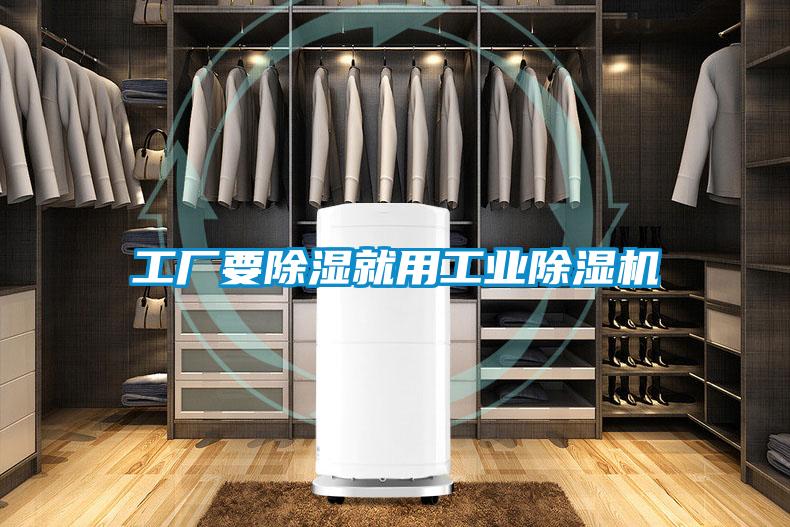 工厂要除湿就用工业粉色视频免费在线观看