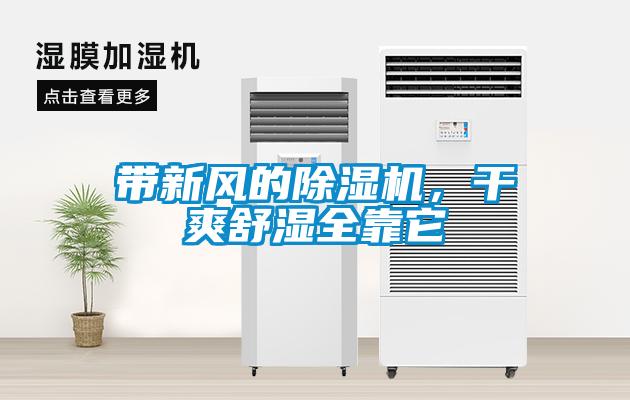 带新风的粉色视频免费在线观看，干爽舒湿全靠它