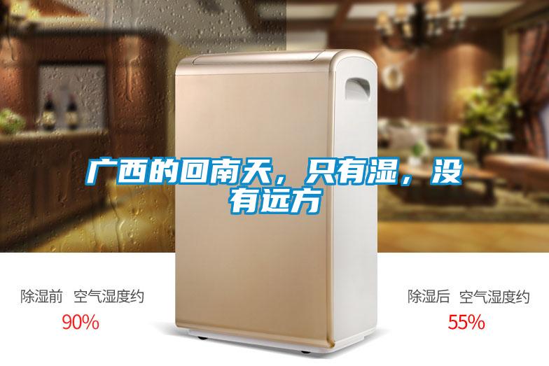 广西的回南天，只有湿，没有远方
