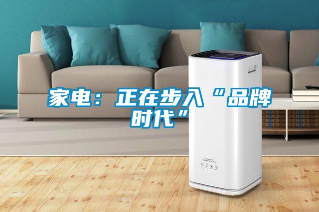 家电：正在步入“品牌时代”