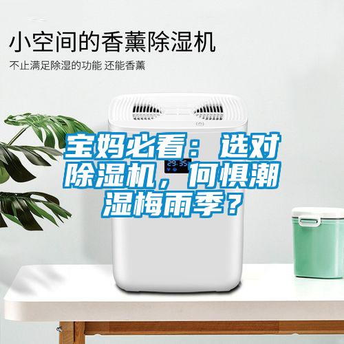 宝妈必看：选对粉色视频免费在线观看，何惧潮湿梅雨季？