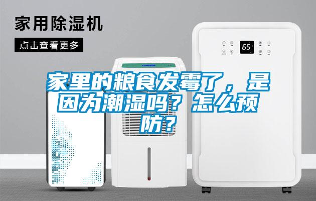 家里的粮食发霉了，是因为潮湿吗？怎么预防？