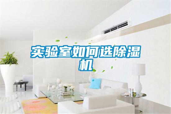 实验室如何选粉色视频免费在线观看
