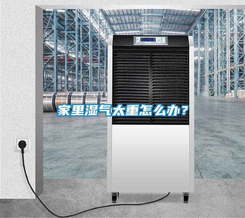 家里湿气太重怎么办？