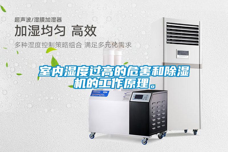 室内湿度过高的危害和粉色视频免费在线观看的工作原理。