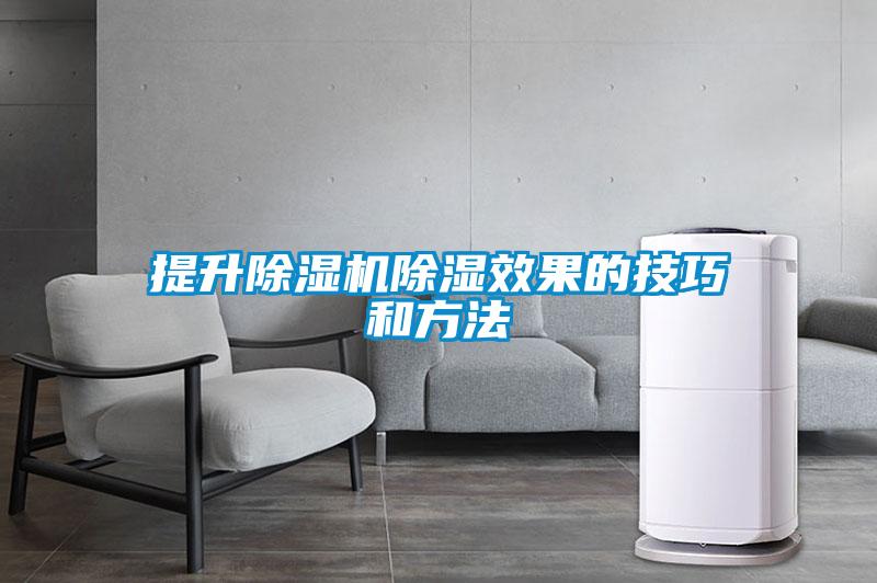 提升粉色视频免费在线观看除湿效果的技巧和方法