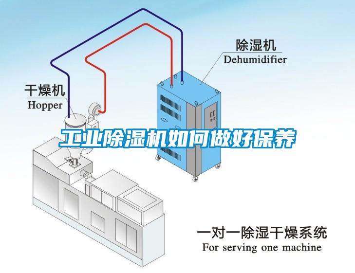 工业粉色视频免费在线观看如何做好保养