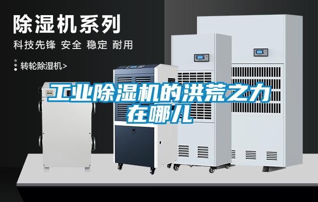 工业粉色视频免费在线观看的洪荒之力在哪儿