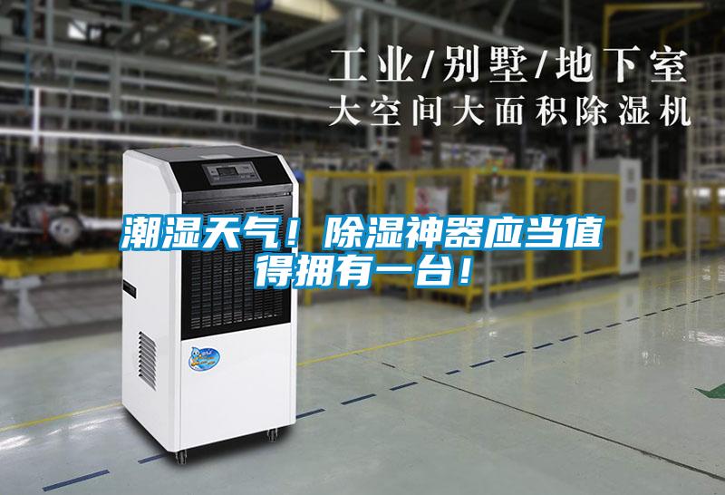 潮湿天气！除湿神器应当值得拥有一台！