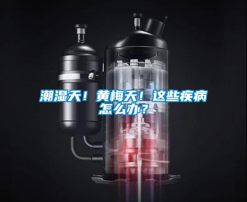 潮湿天！黄梅天！这些疾病怎么办？