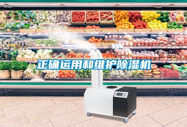正确运用和维护粉色视频免费在线观看