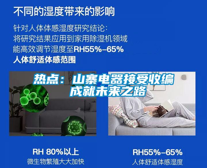 热点：山寨电器接受收编 成就未来之路