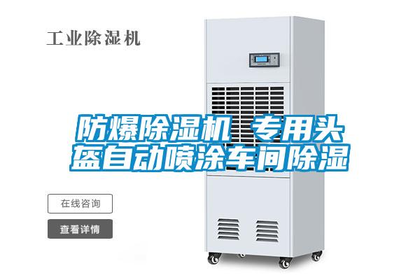 防爆粉色视频免费在线观看 专用头盔自动喷涂车间除湿