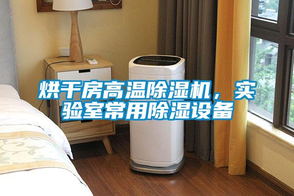 烘干房高温粉色视频免费在线观看，实验室常用除湿设备