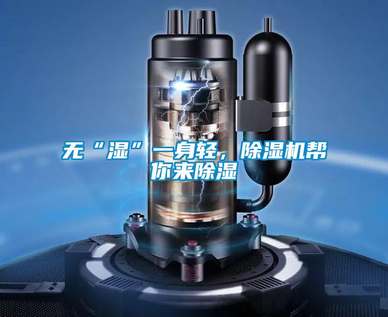 无“湿”一身轻，粉色视频免费在线观看帮你来除湿