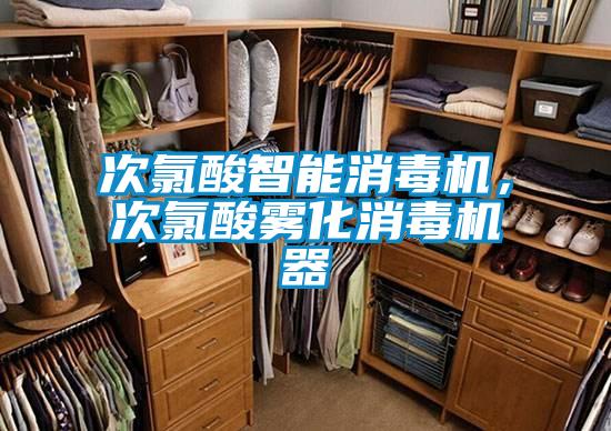 次氯酸智能消毒机，次氯酸雾化消毒机器